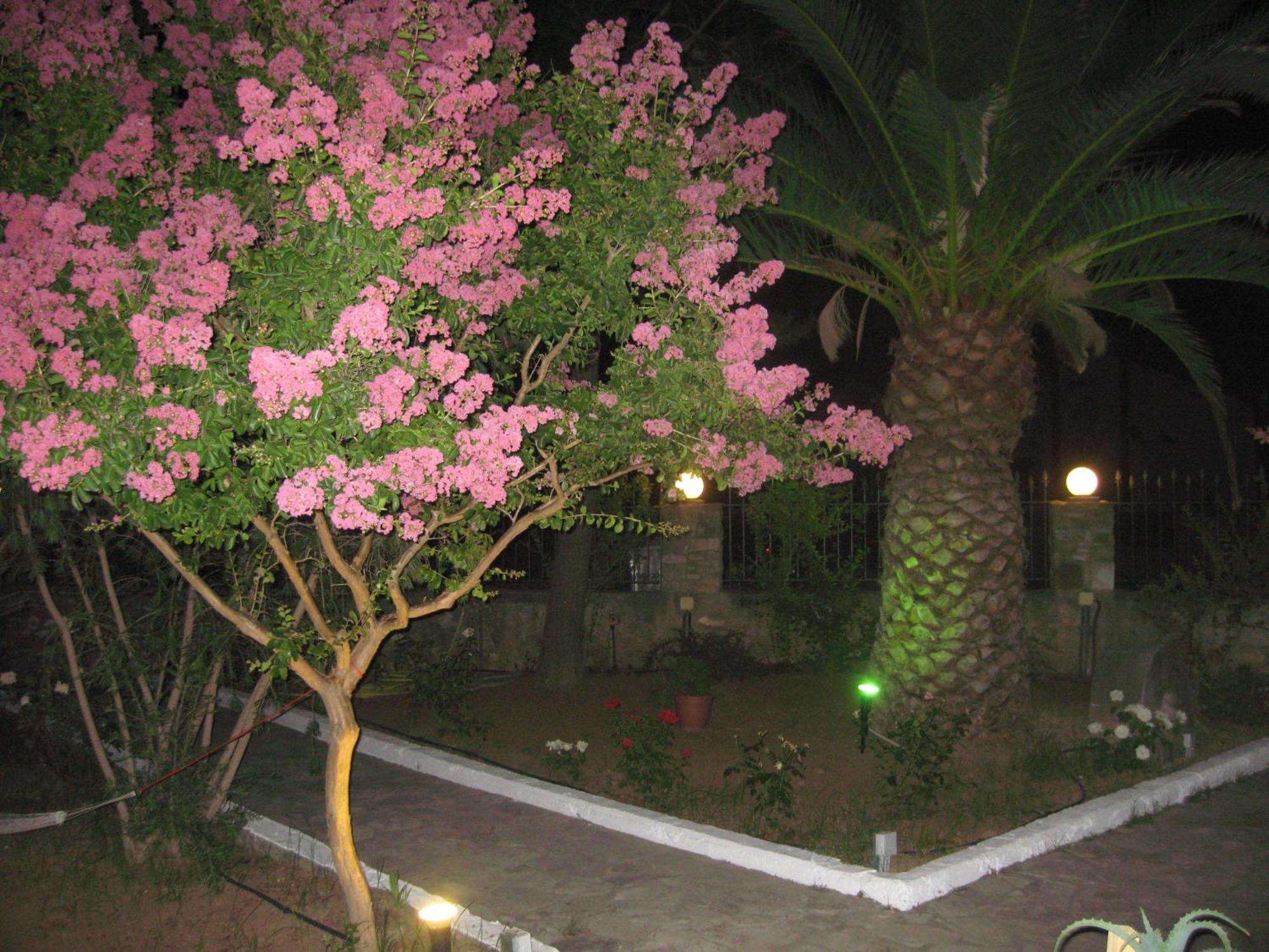 Assimakis Hotel Finikounda Exterior foto